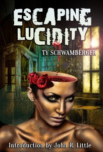 Escaping Lucidity_cover